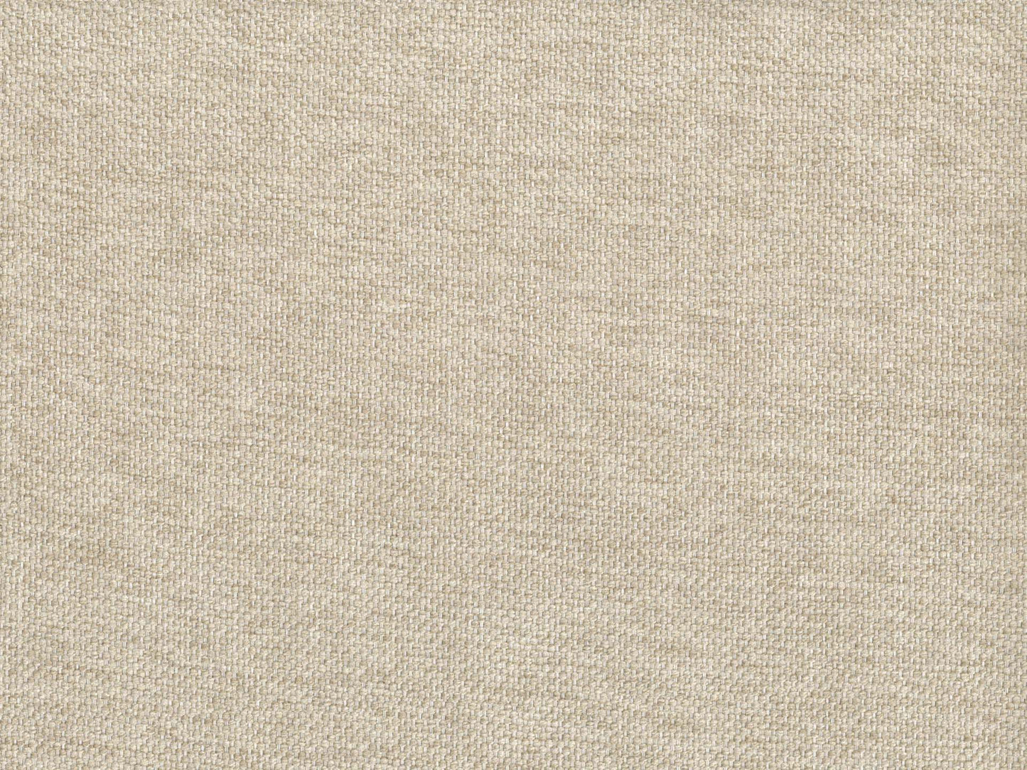 Alma_14 beige.jpg