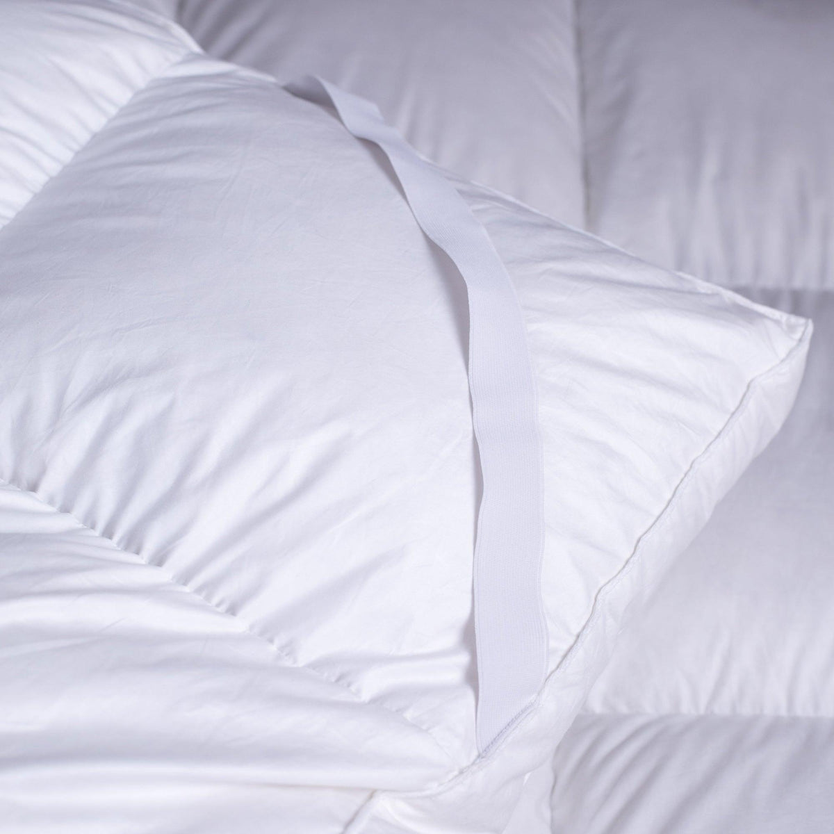 Featherbed Featherbed Luxe 50% down 50% feather Topper The Sleep Revolution ...